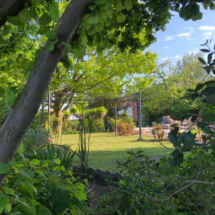 Location Matrimoni Eventi Novara Provincia (15)