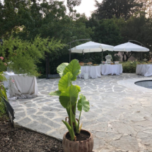 Location Matrimoni Eventi Novara Provincia (20)