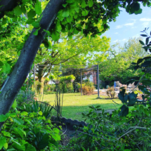 Location Matrimoni Eventi Novara Provincia (23)