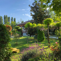Location Matrimoni Eventi Novara Provincia (37)