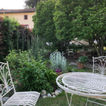 Location Matrimoni Eventi Novara Provincia (40)