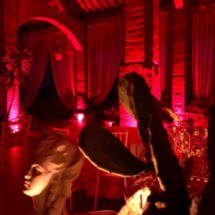 Location Matrimoni Eventi Novara Provincia (41)